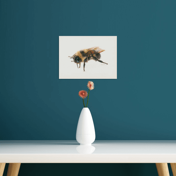 Bumblebee/Insect Series