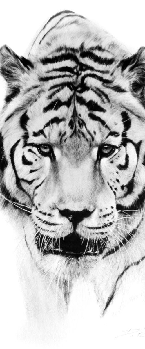 White Tiger by Danguole Serstinskaja