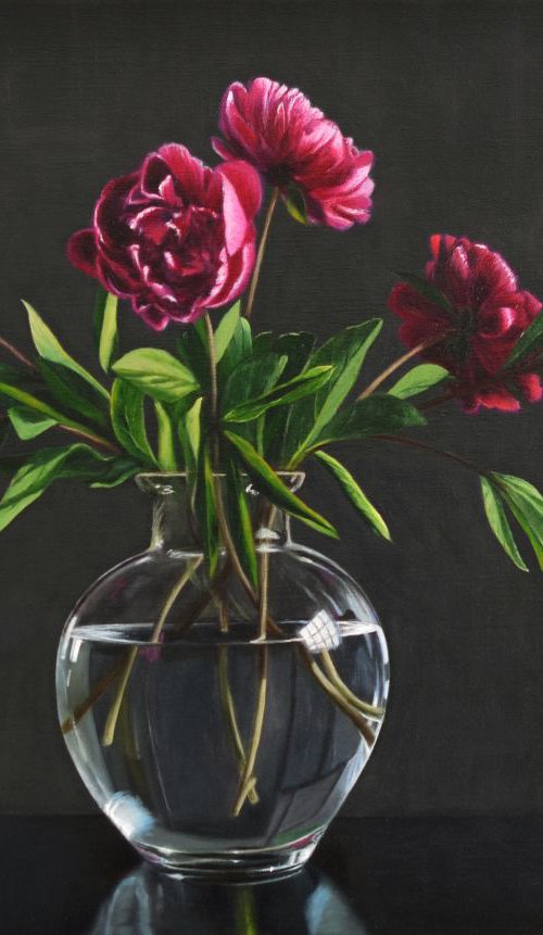 Peonies from the Garden by Andrew McNeile Jones