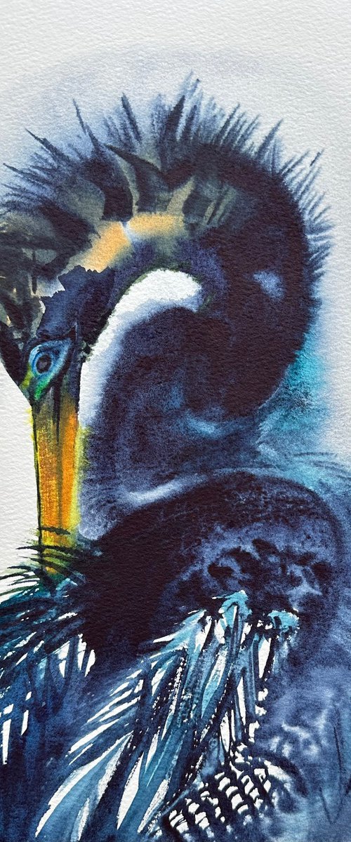 Anhinga by Alla Semenova