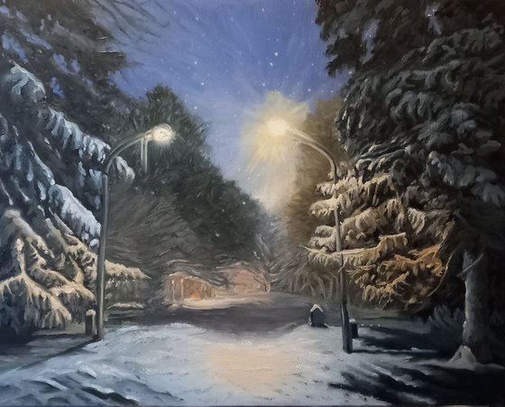 The Snowy Night