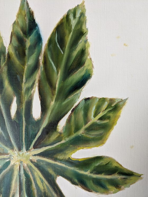 Fig Leaf: Original Oil Painting Original oil painting of the green fig leaf on the white background Painting by Anna Brazhnikova