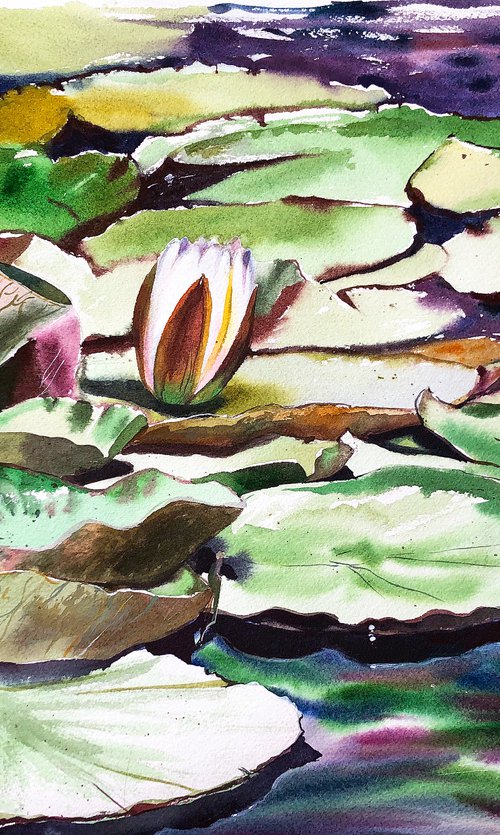 Water Lilies from Geneva by Ksenia Astakhova