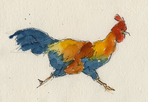 Running rooster 11