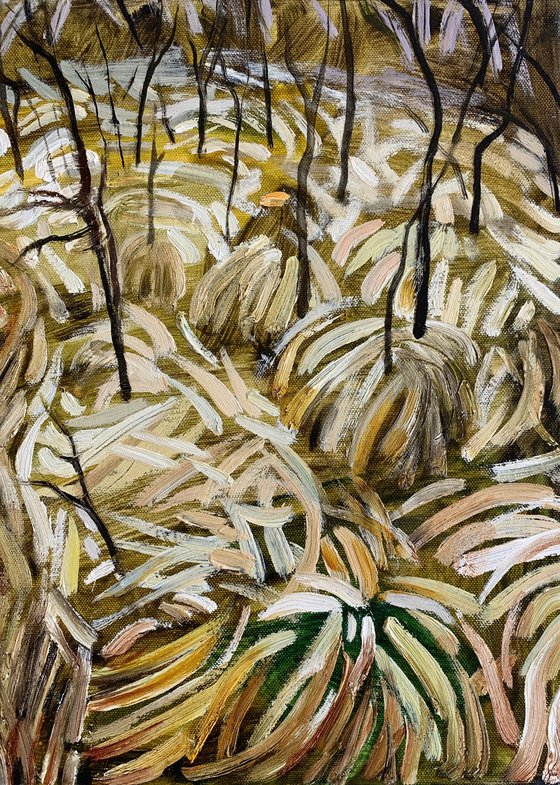 Dry Grasses