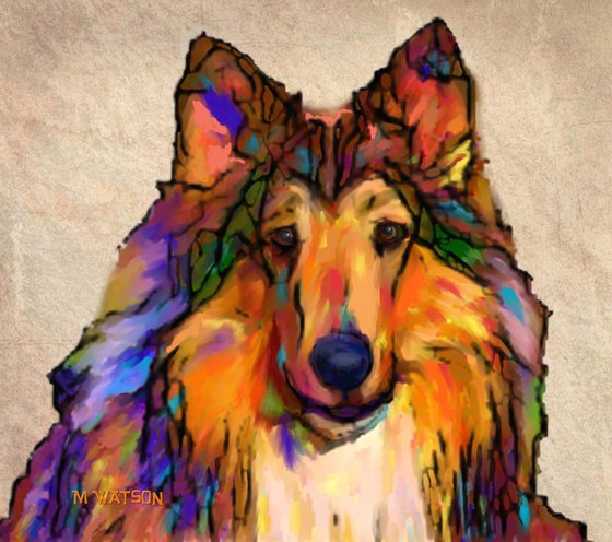 Collie - Limited Edition