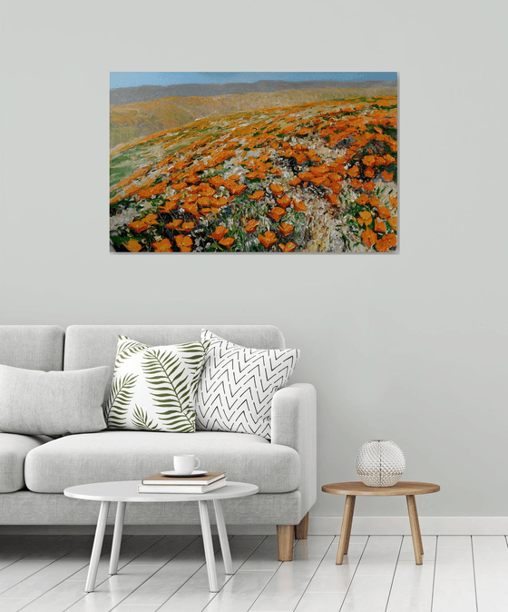 California Poppies