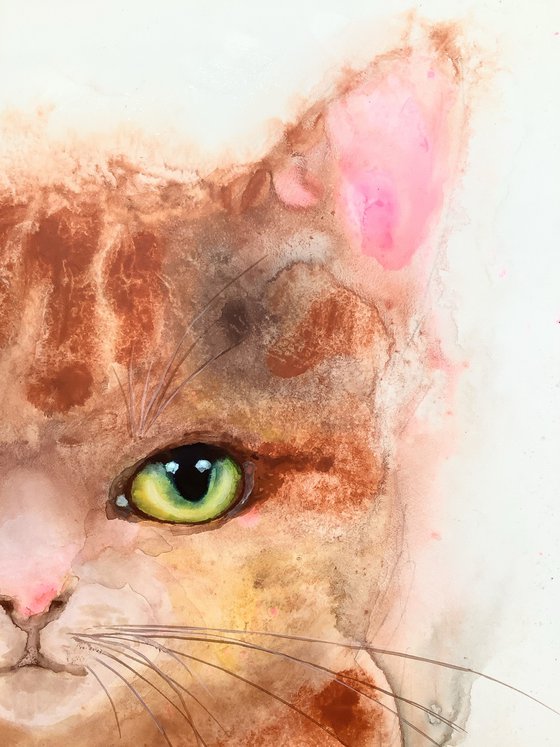 YELLOW KITTY
