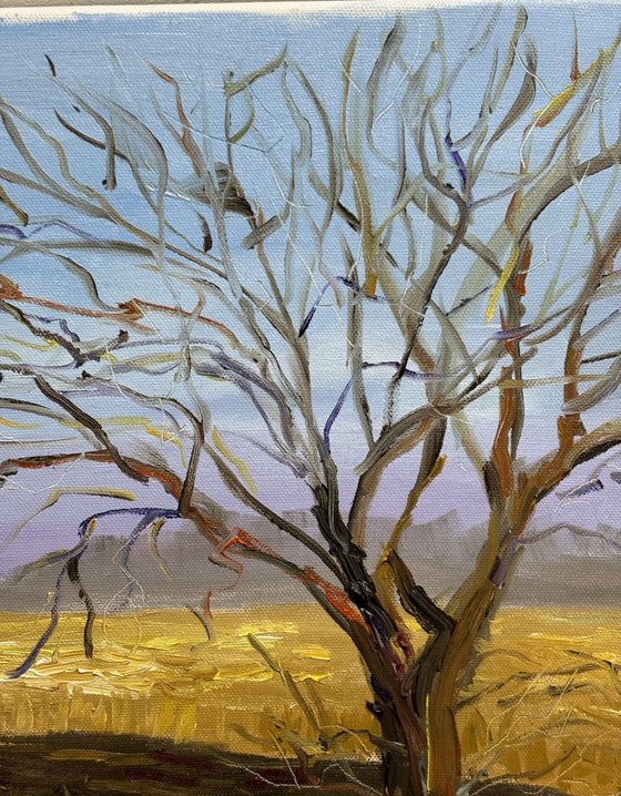 Lone Tree in a March Field