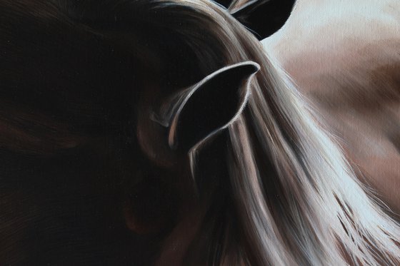 Equine light