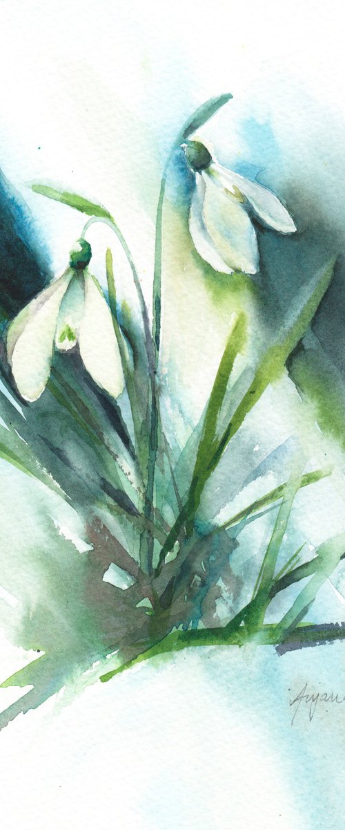 Snowdrops by Anjana Cawdell