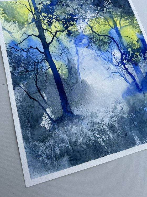 Forest landscapes