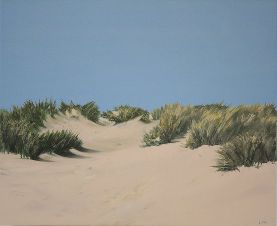 Dunes in Summer