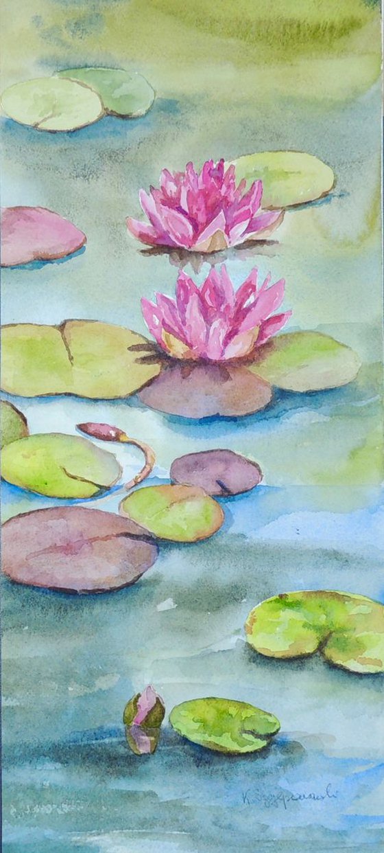 Water lilies