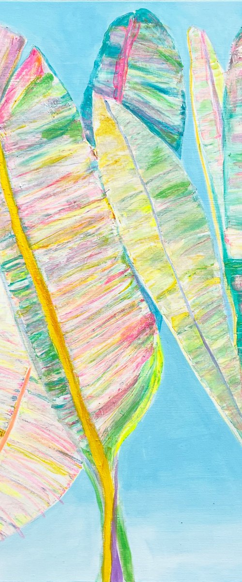 'Rainbow Banana Leaves Study' by Kathryn Sillince