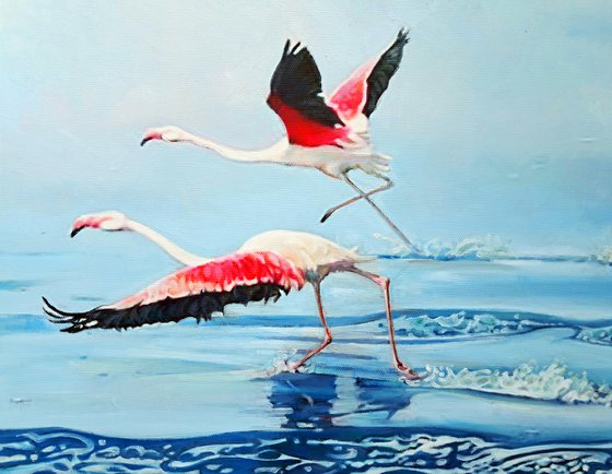 WING-SURFERS (PINK FLAMINGOES)