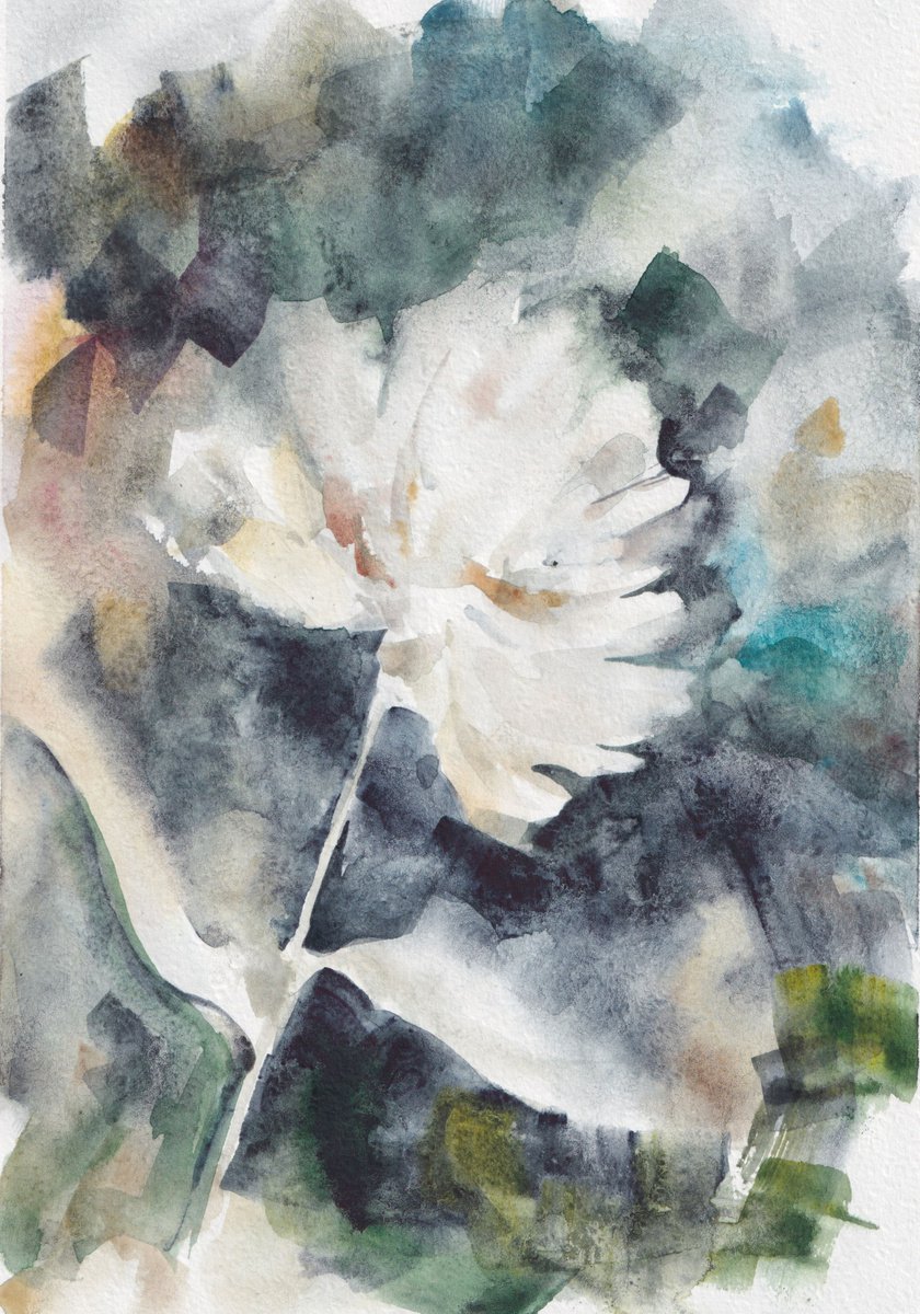 Chrysanthemum by Stanislav Vorobyev