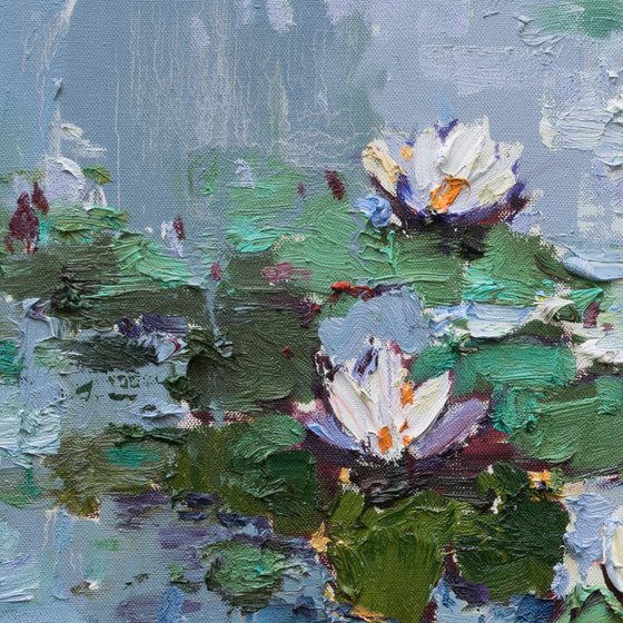 White Water Lilies in pond -  Original Oil painting