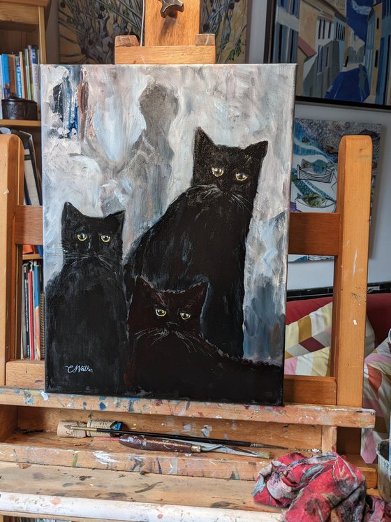 Aloof - Three Cats