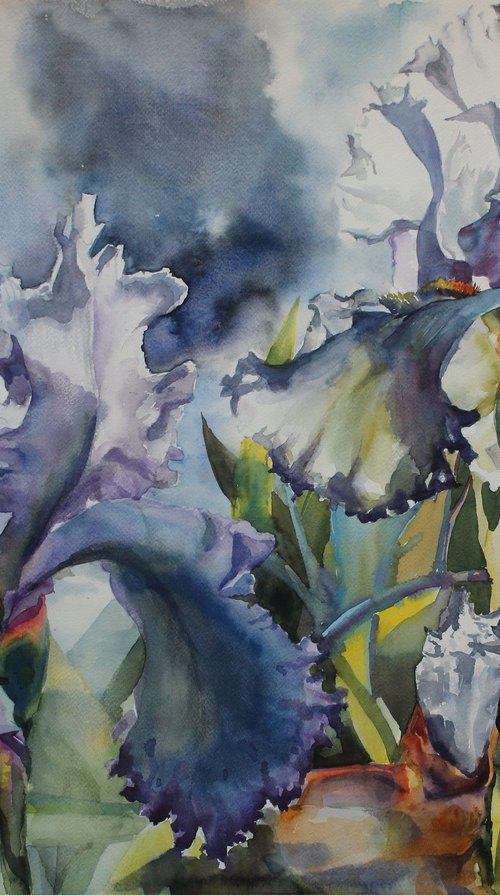 IRISES#4 by Yurii Pashkov