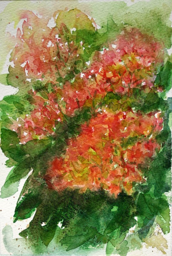 Hydrangea I / ORIGINAL WATERCOLOR PAINTING