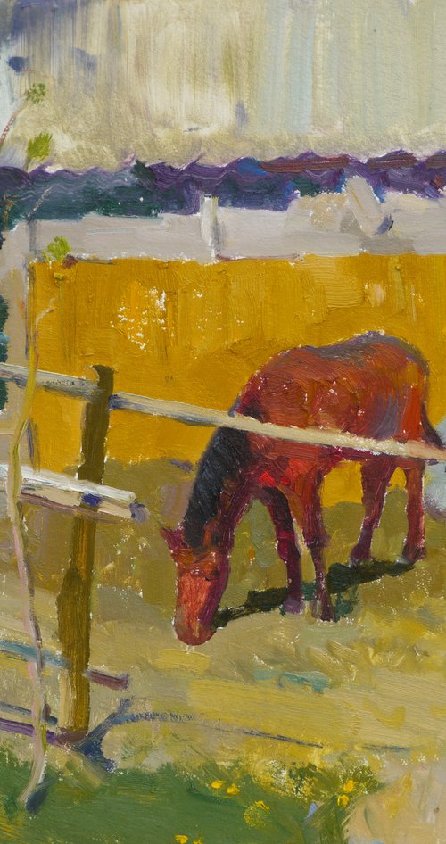 Horse by Victor Onyshchenko