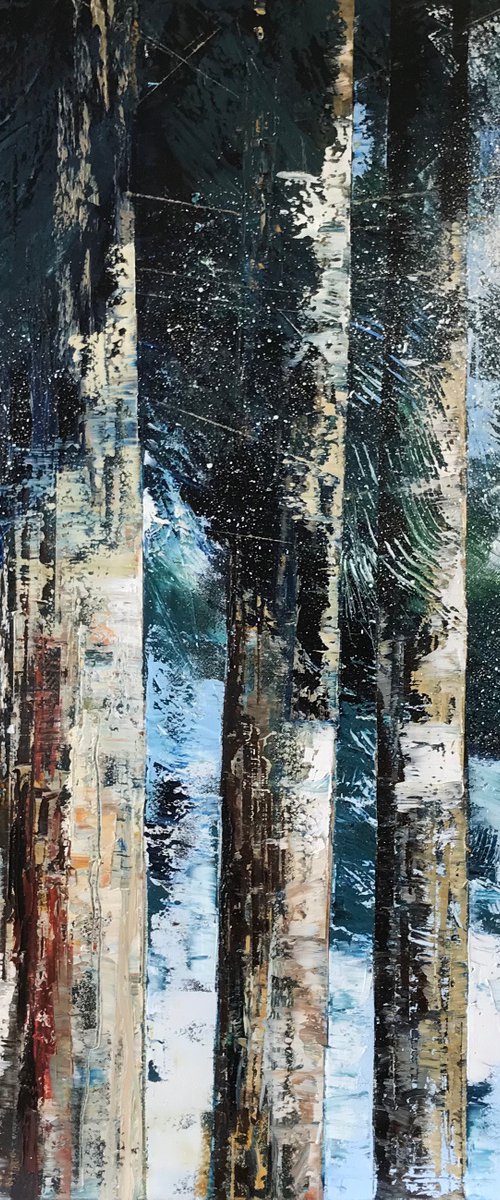 Light Through the Evergreens by Belinda Reynell