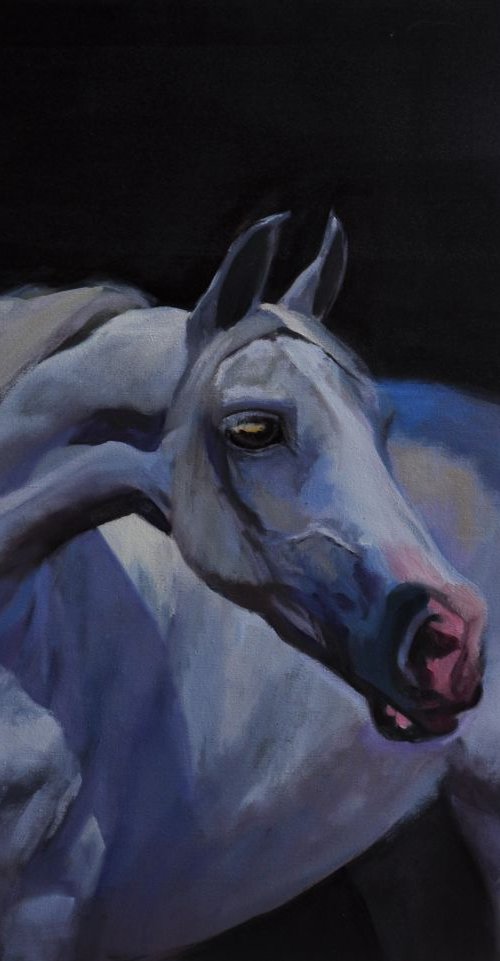Lady Grey 2 by John Welsh