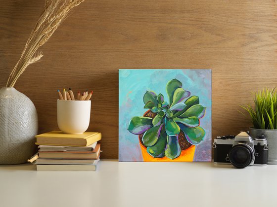 Pet succulent - original artwork