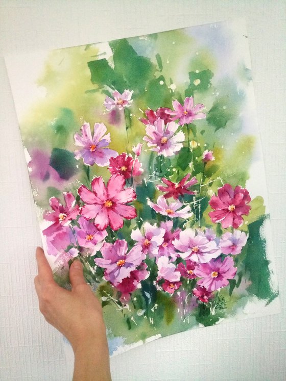 Cosmos Flowers. Sunlit Harmony