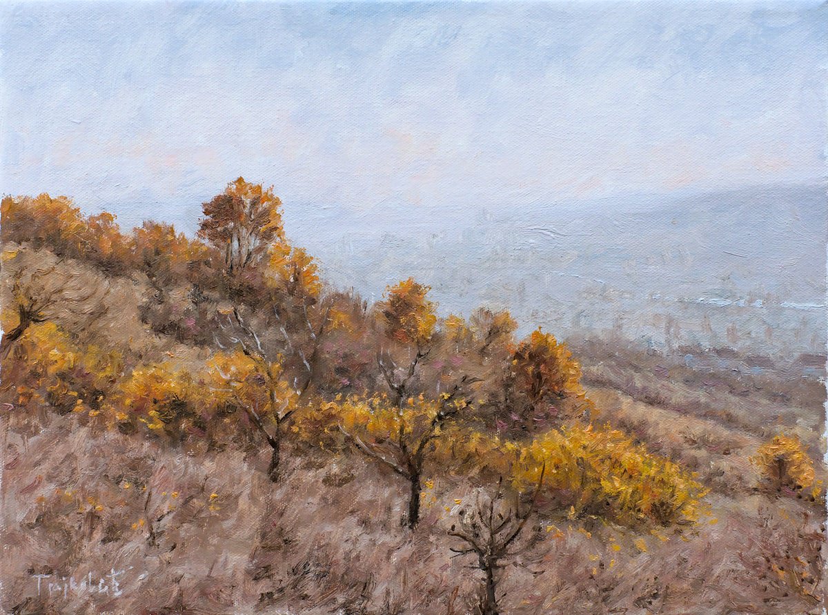 Impressionistic Landscape Oil Painting By Dejan Trajkovic, 16 X 12, Flicker, Original Artwork