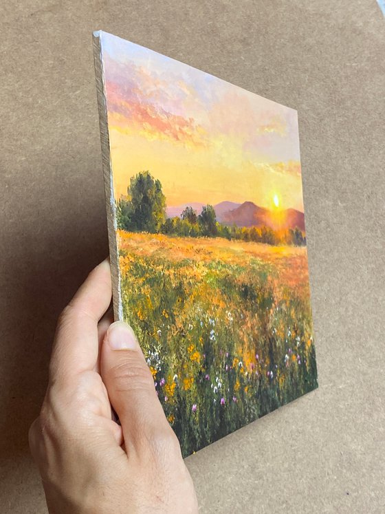 Golden sunset among wildflowers