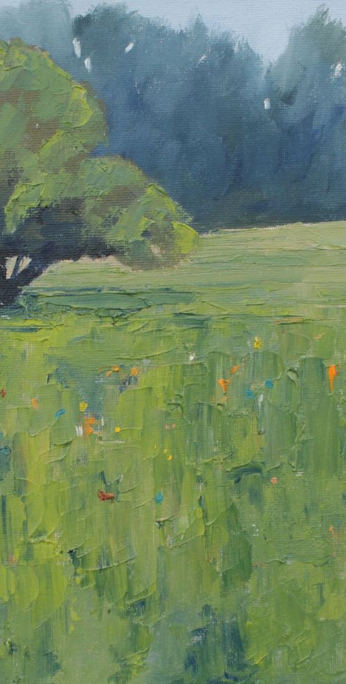 Meadow by John Halliday