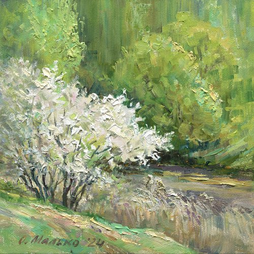 Wild plum tree blossoms / ORIGINAL oil picture ~8x8in (20x20cm) by Olha Malko
