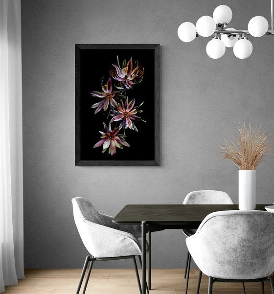 Dried Burgundy Blaze