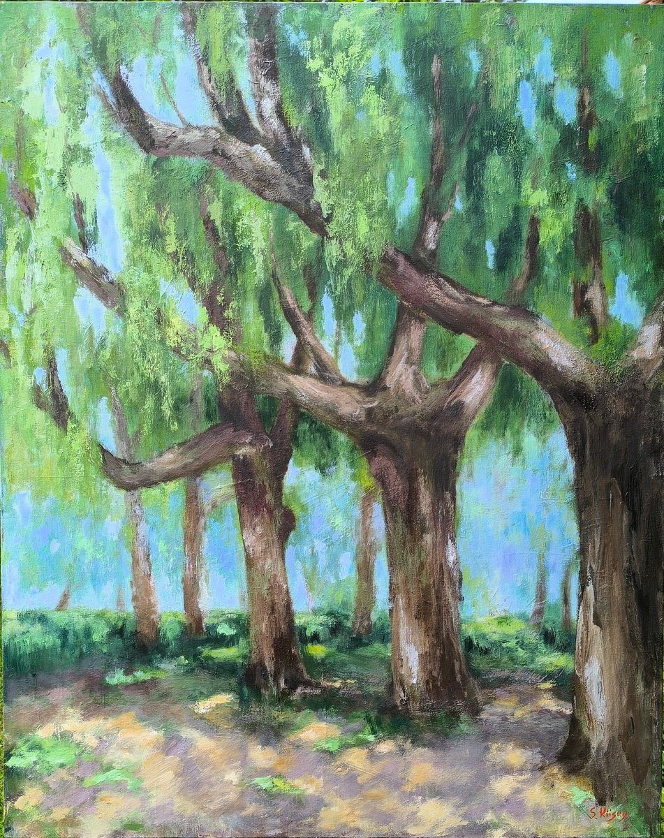 Impressionistic Landscape Oil Painting By Svetlana Grishkovec-Kiisky, 31 X 39", Linden Alley. Summer, Original Artwork