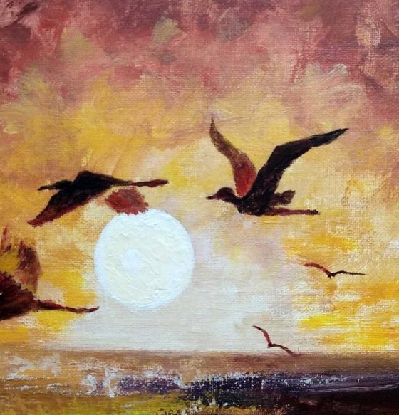 African egrets at sunset