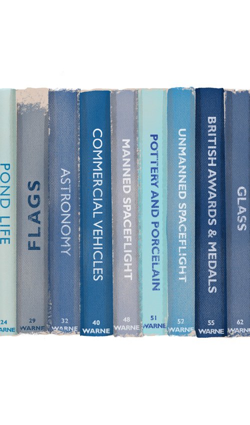 Blue Observer book collection, limited-edition by Design Smith