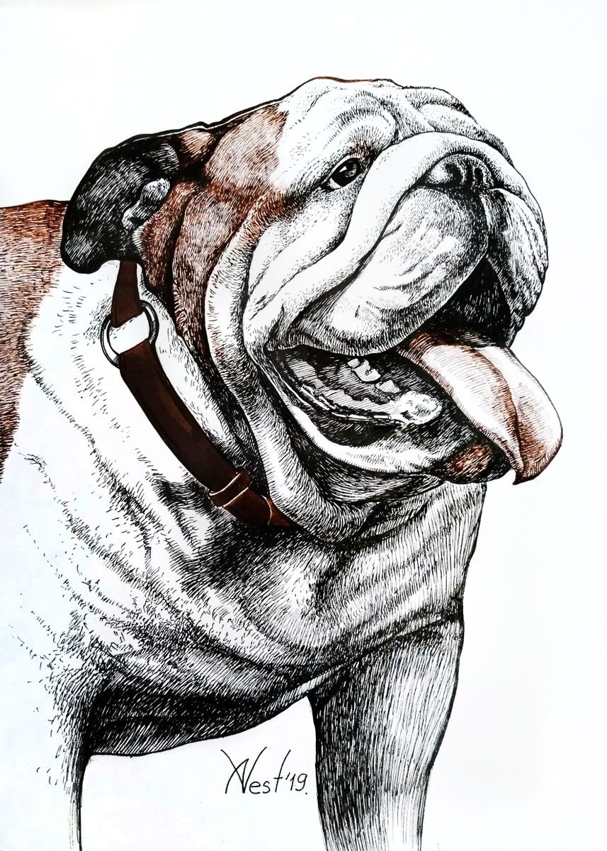 Bulldog 2 by Alice Nesterenko