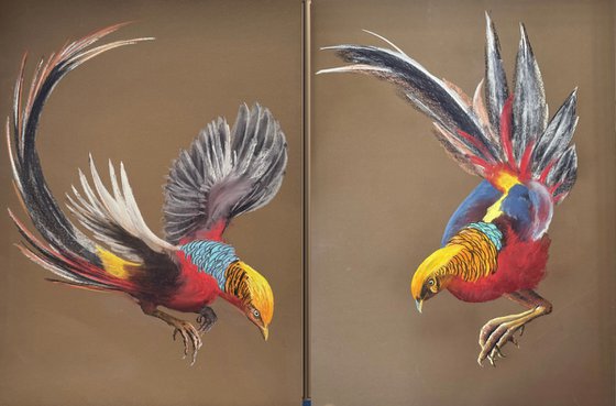 Set of 2 Golden phaesant
