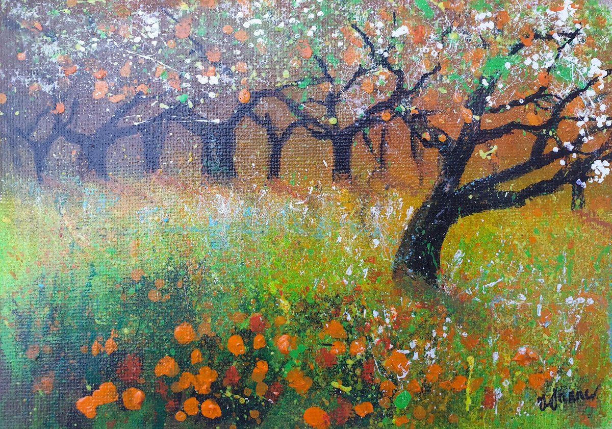 In the orange Grove by Teresa Tanner