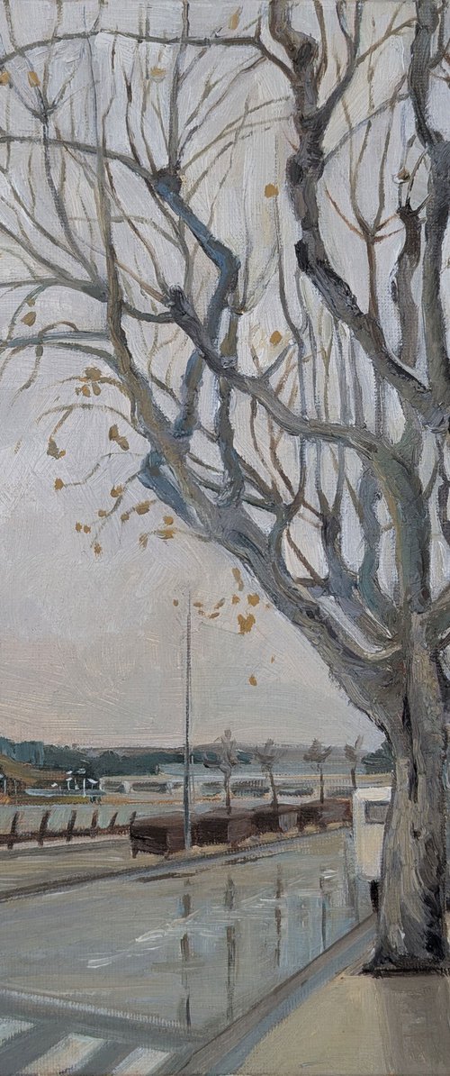 After the Rain by Ilona Sedneva