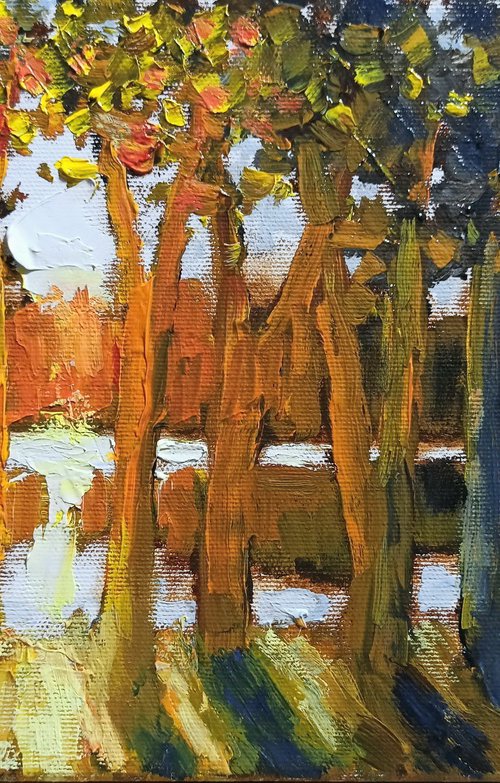 Autumn rays by Oleh Rak