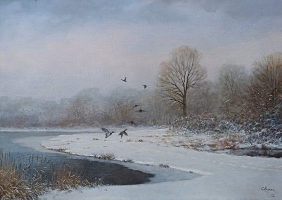 Snowlandscape with ducks