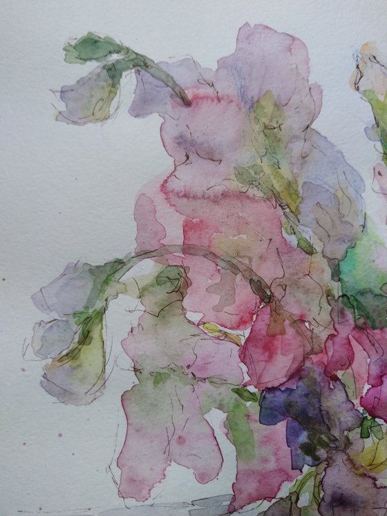 Sweet pea.  Original watercolour painting 2021