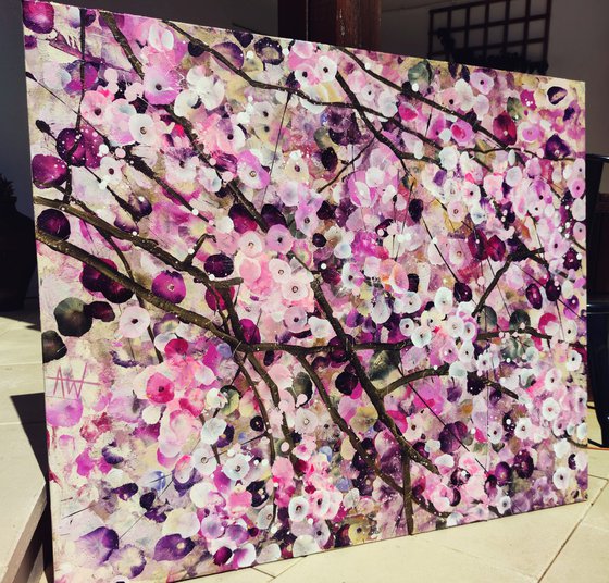 Cherry Blossom Serenade