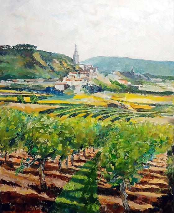 les vignes sous Bonnieux