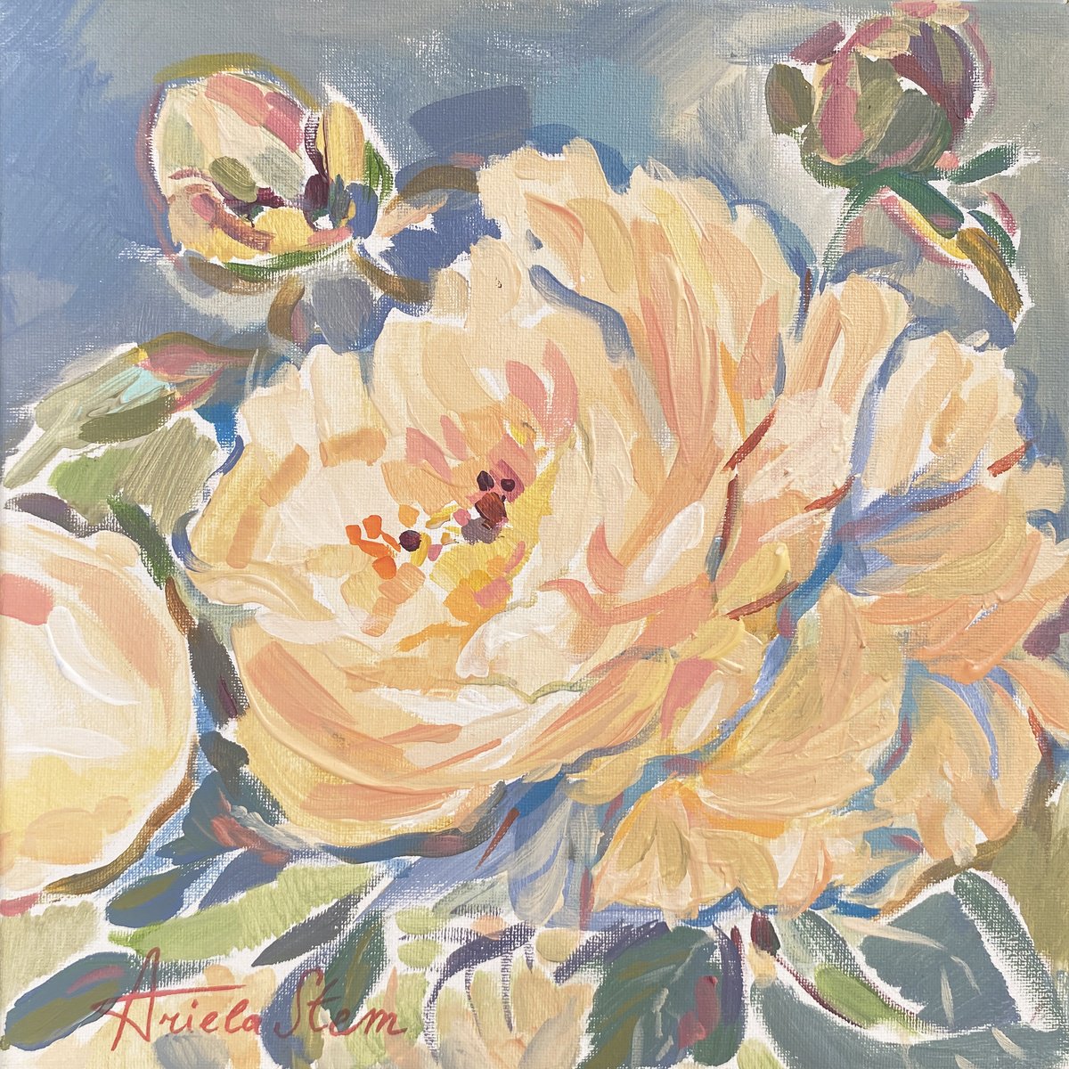 Impressionistic Painting , White Peonies By Ariela Stem, 12 X 12, Artwork For Sale On Artfinder