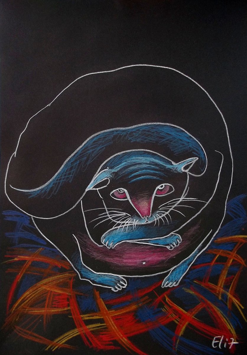 Animal Pencil Drawing By Elisheva Nesis, 9 X 13, Winter Cat, Original Artwork