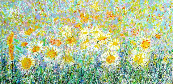 Wild Daisy Meadow